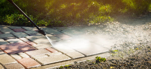 Best Fleet Vehicle Washing  in Watseka, IL