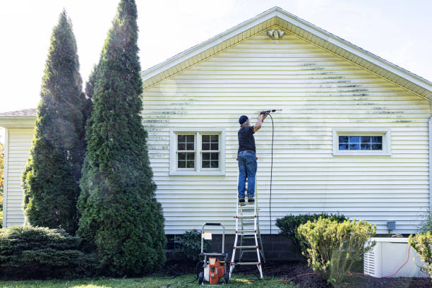 Best Fence Cleaning  in Watseka, IL